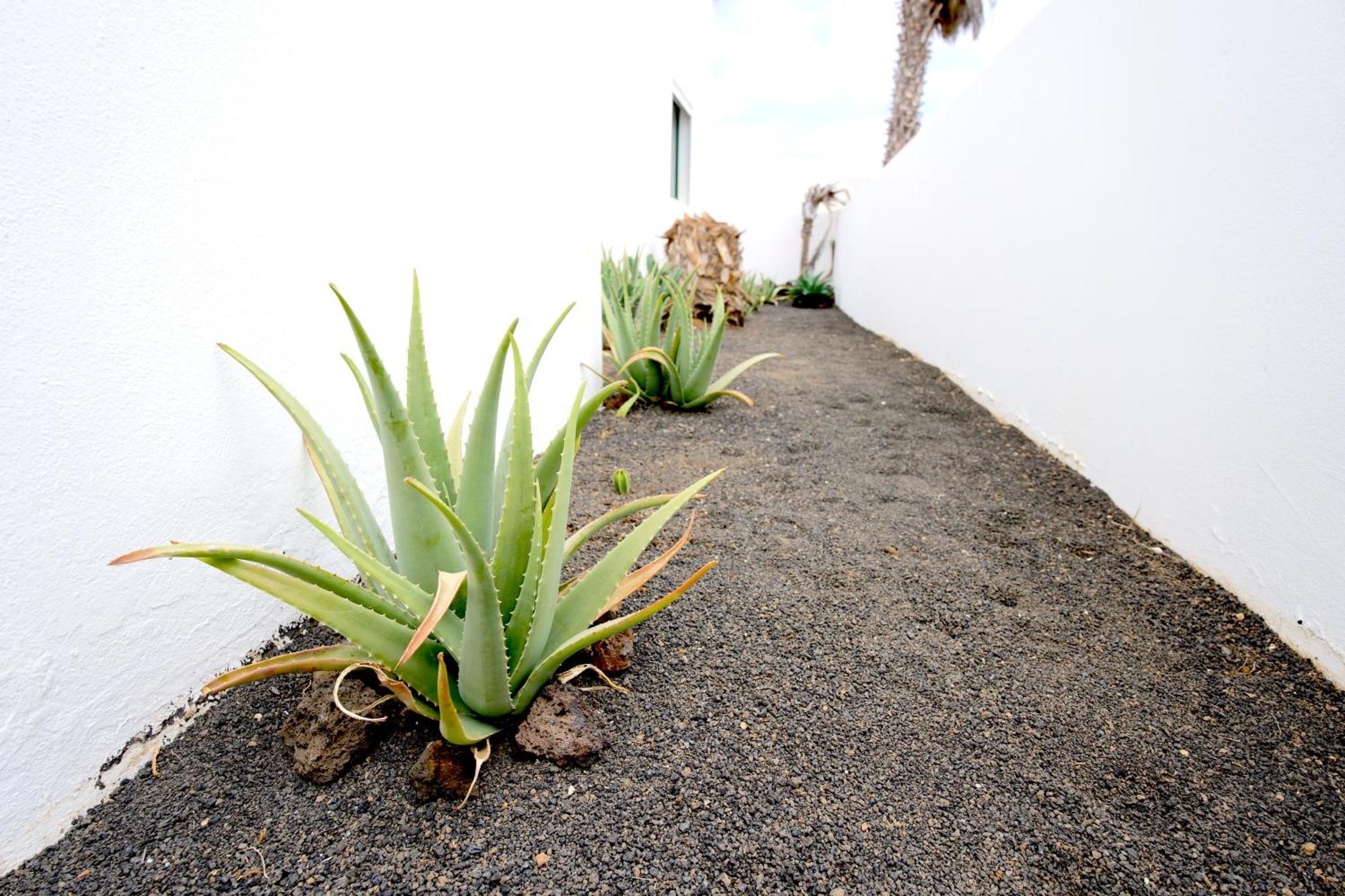 Villas Kalendra, Rofe, Lanzarote Guatiza ภายนอก รูปภาพ
