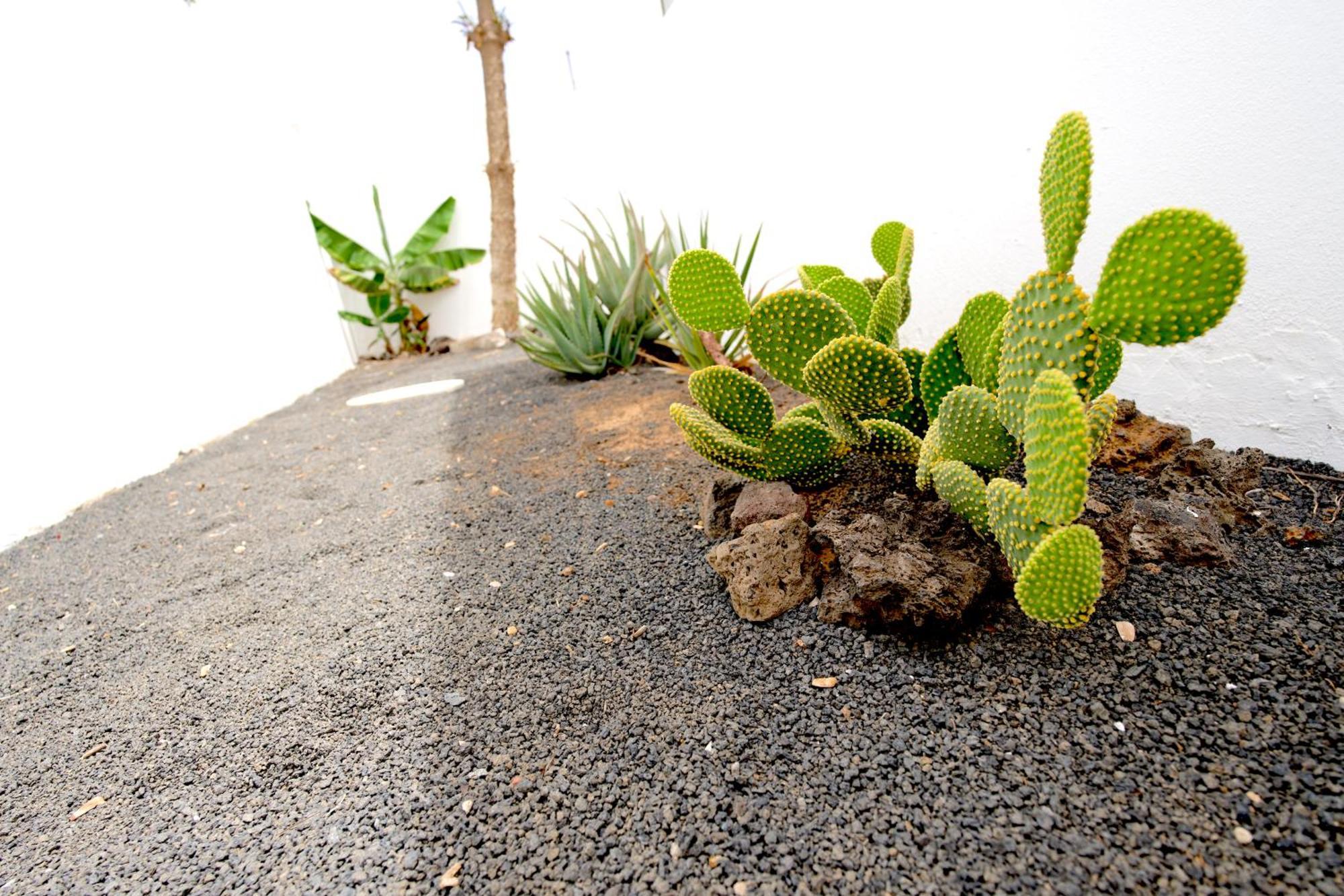 Villas Kalendra, Rofe, Lanzarote Guatiza ภายนอก รูปภาพ